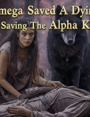 She Saved a Dying Wolf — Only Later Did She Learn It Was the Alpha King’s Mother